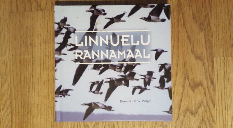 59596226 Linnuelu rannamaal . Enno-Kustav Väljal
