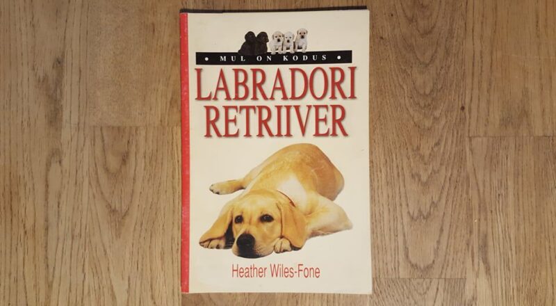 Labradori retriiver . Heather Wiles-Fone