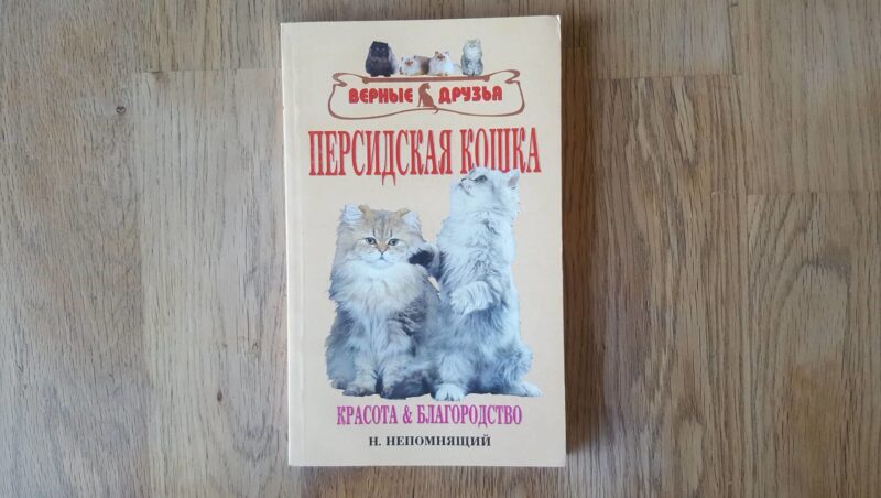 59930544 Pärsia kass . персидская кошка