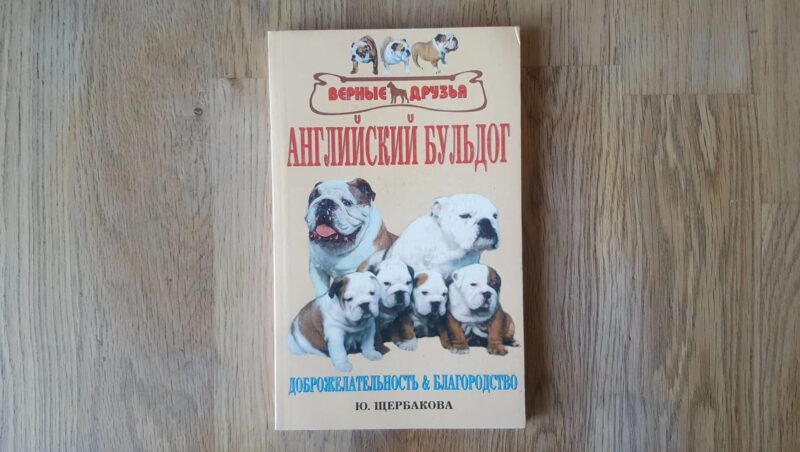 59930739 Inglise buldog . английский бульдог