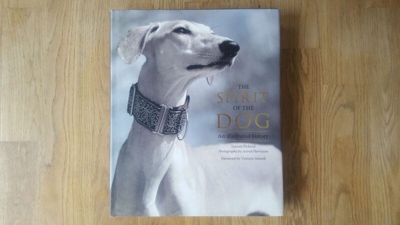 59975705 The Spirit of the Dog . Koeraraamat