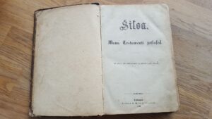 Siloa  Wana Testamendi jutustused . 1890