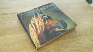 Fascination horse . Hobused