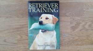 Retriever Training . Susan Scales