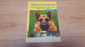 Saksa lambakoer