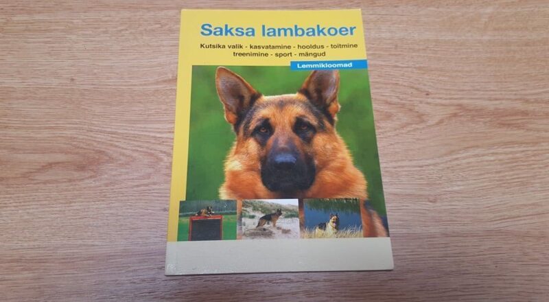 Saksa lambakoer