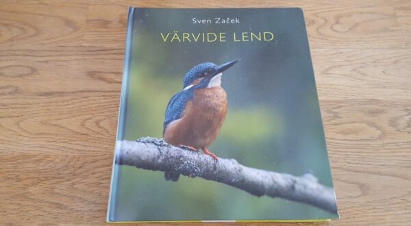 Värvide lend . Sven Začek