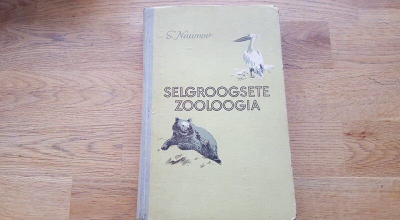 67185508 Selgroogsete zooloogia