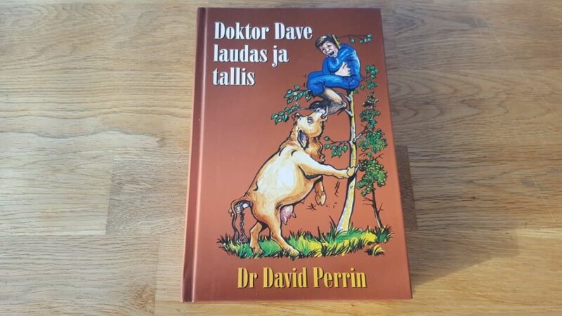 Doktor Dave laudas ja tallis . David Perrin