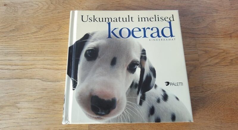67253297 Uskumatult imelised koerad