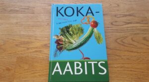 Koka-aabits