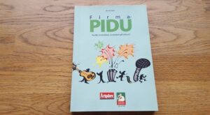 Firmapidu . Anneli Aken