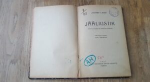 Jääliustik . Johannes Vilhelm Jensen . 1927