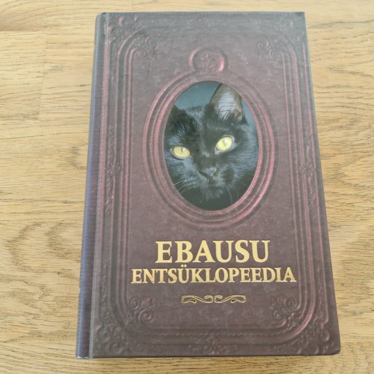 75826659 Ebausu entsüklopeedia