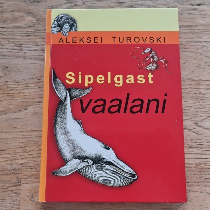 80820964 Sipelgast vaalani . Aleksei Turovski