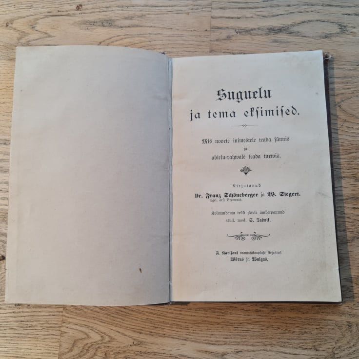 81031649 Suguelu ja tema eksimised 1904