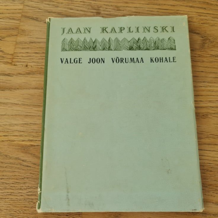 83122314 Valge joon Võrumaa kohale . Jaan Kaplinski