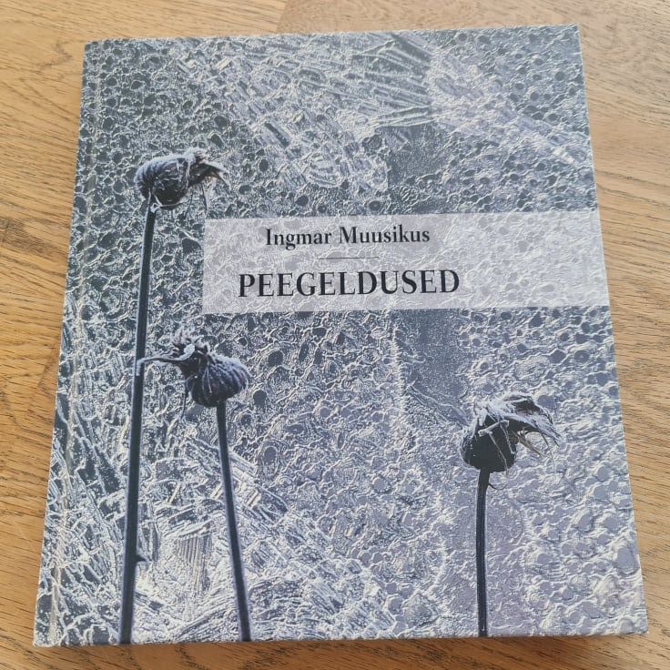 84569987 Peegeldused . Ingmar Muusikus