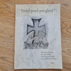 Teisel pool peegleid . Assy