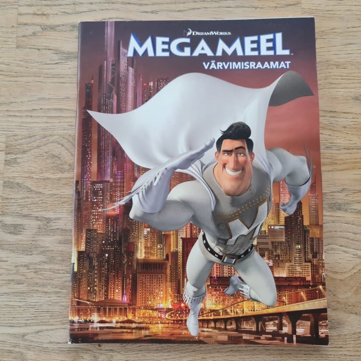 88295683 Megameel Värvimisraamat