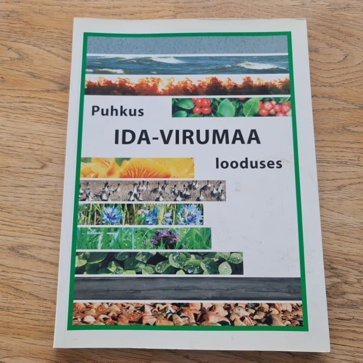 88709416 Puhkus Ida-Virumaa looduses