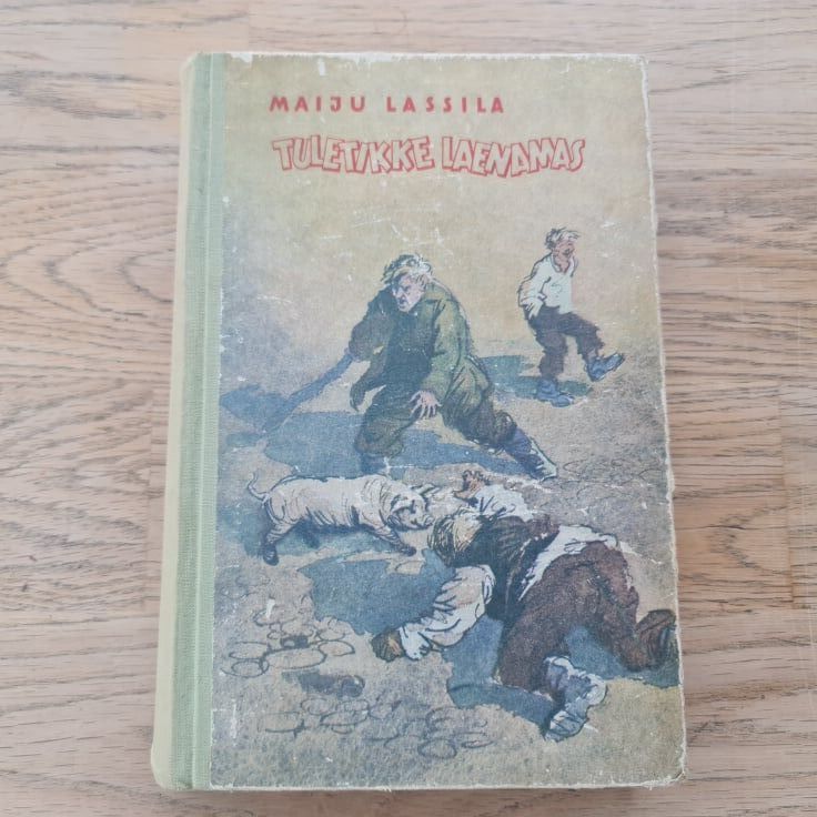89155131 Tuletikke laenamas . Maiju Lassila