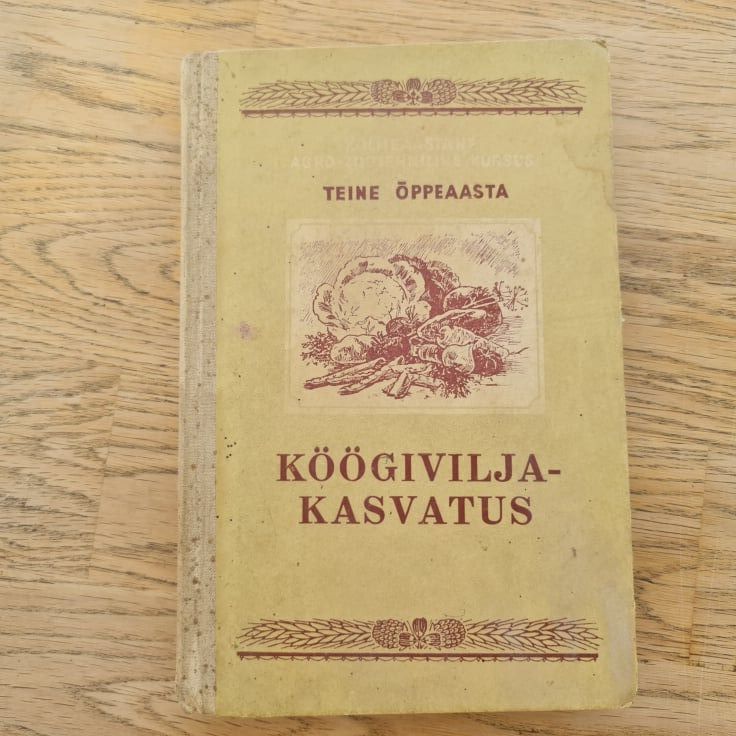 89219060 Köögiviljakasvatus . 1953