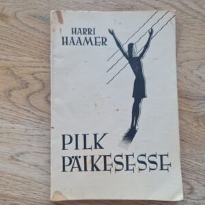 Pilk päikesesse . Kuus juttu lastele . Harri Haamer 1938