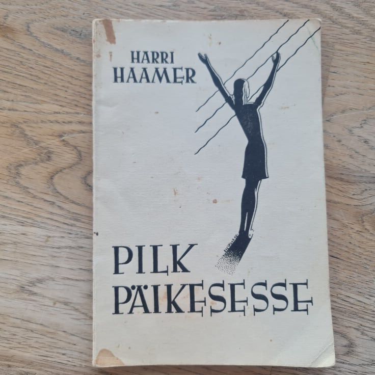 Pilk päikesesse . Kuus juttu lastele . Harri Haamer 1938