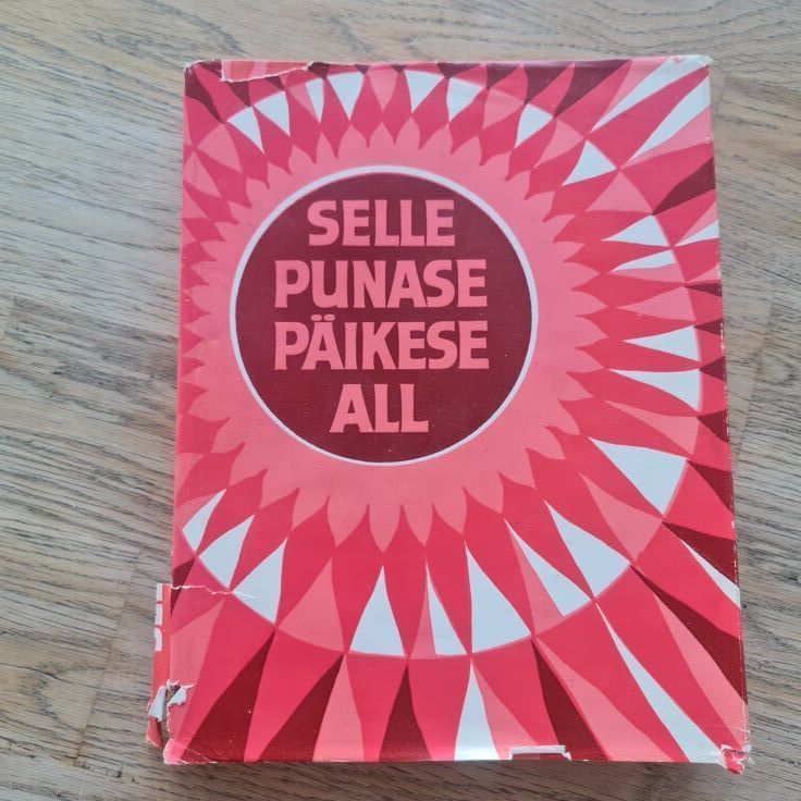 89497588 Selle punase päikese all