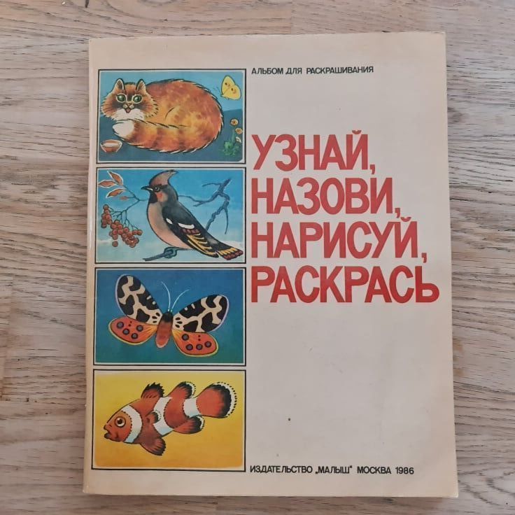 91212232 Узнай назови нарисуй раскрась альбом раскрашивания