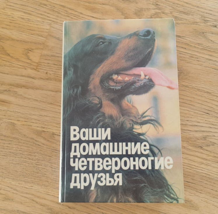 91213622 Ваши домашние четвероногие друзья
