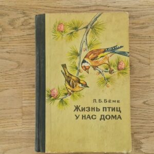 Жизнь птиц у нас дома