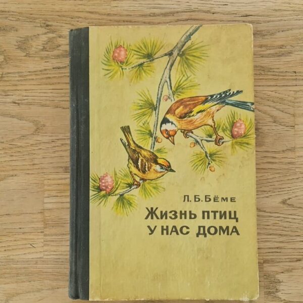 91217325 Жизнь птиц у нас дома