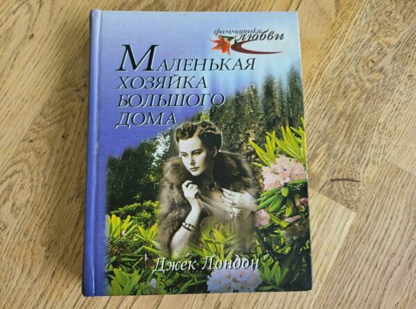 Маленькая хозайка вбольшого дома