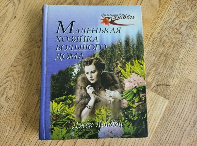 93661776 Маленькая хозайка вбольшого дома