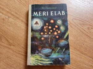 Meri elab . Nikolai Tarassov