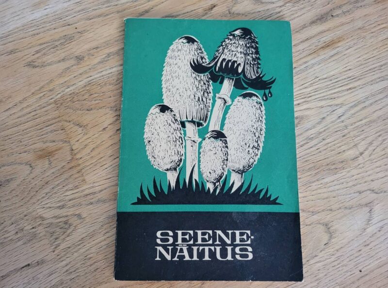 94649517 Seenenäitus