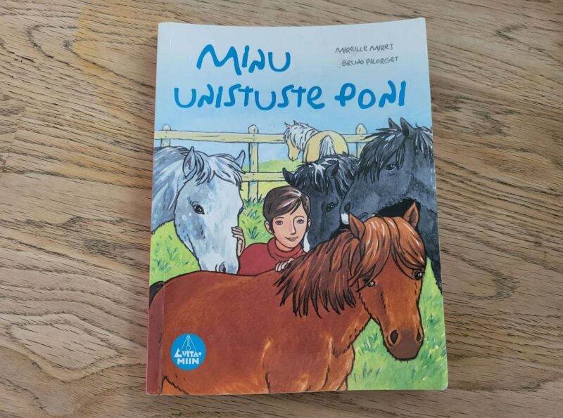 95068425 Minu unistuste poni . Mirelle Mirej