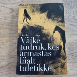 Väike tüdruk kes armastas liialt tuletikke . Gaetan Soucy