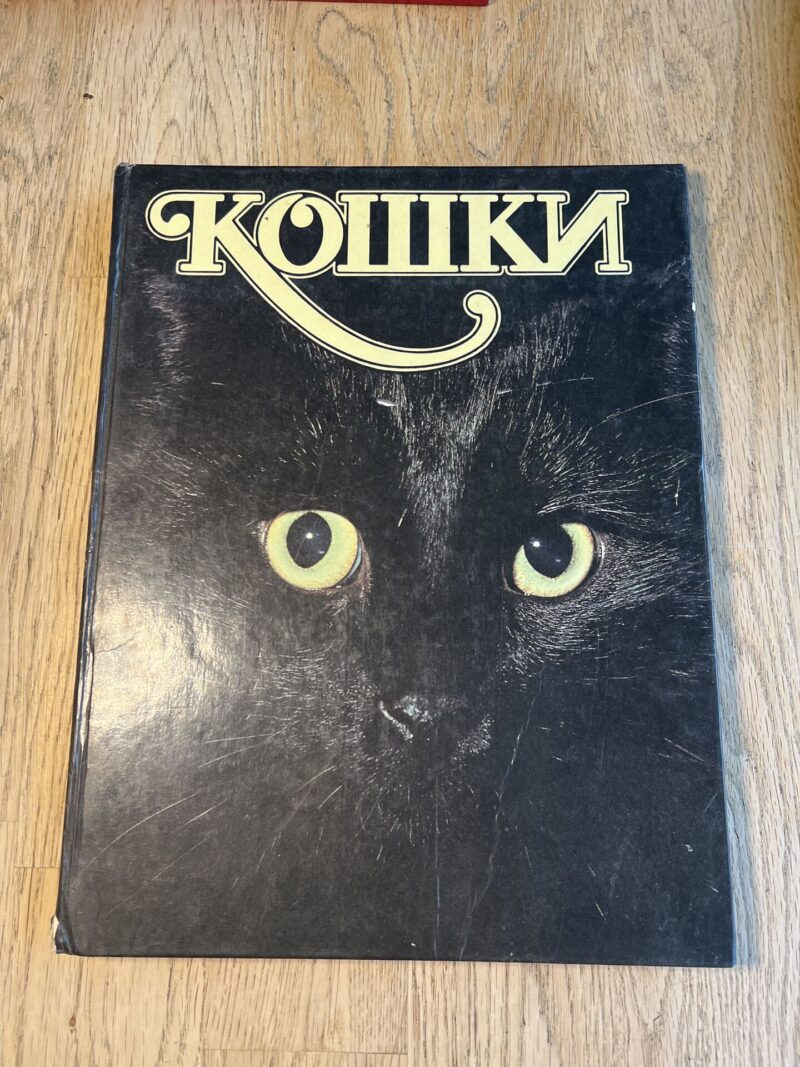 95480390 Кошки