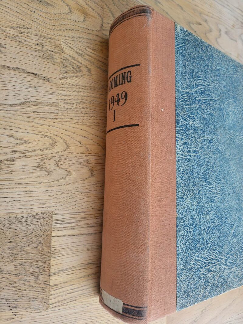 98358097 Looming 1949 I poolaasta