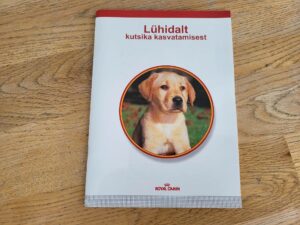 Lühidalt kutsika kasvatamisest