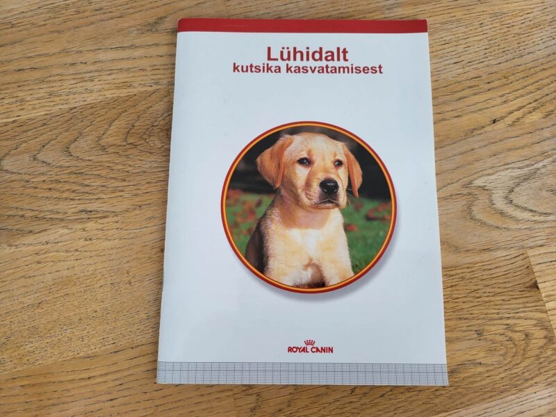 98389089 Lühidalt kutsika kasvatamisest