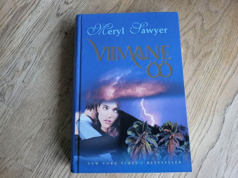Viimane öö . Meryl Sawyer