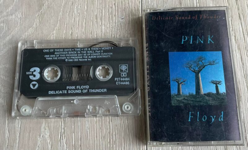 99013925 Pink Floyd Live Delicate Sound Of Thunder