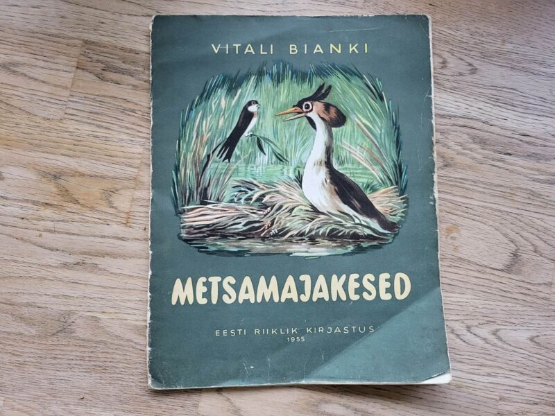 99166202 Metsamajakesed . Vitali Bianki