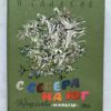 С севера на юг 