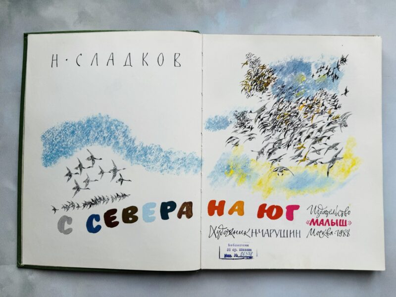 img_9171 С севера на юг