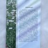 Лекарства из Божей аптеки - исцетление без медикаментов